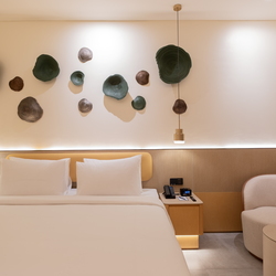 Metro Room 25 sqm King/Twin